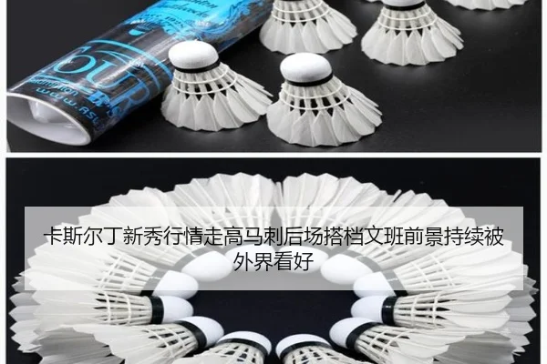 卡斯尔丁新秀行情走高马刺后场搭档文班前景持续被外界看好